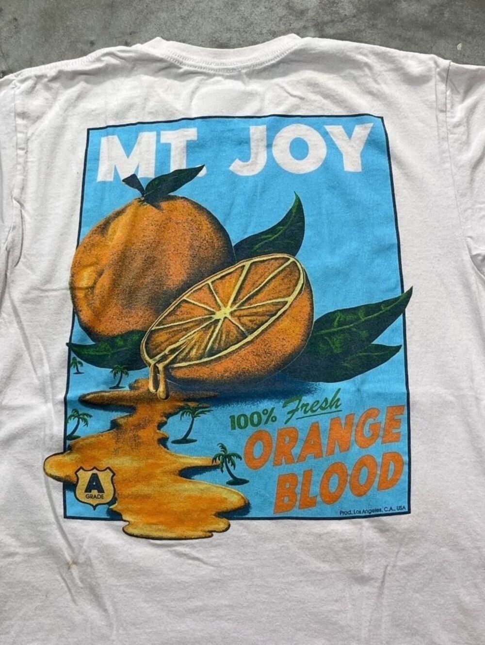 Mt. Joy Preowned Large T-shirt